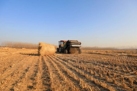 Foto de LUANNAN COUNTY, China - 25 de diciembre de 2020: los agricultores utilizan maquinaria agrícola para comprimir paja de arroz y empaquetarla en una granja, LUANNAN COUNTY, Hebei Province, China - Imagen libre de derechos