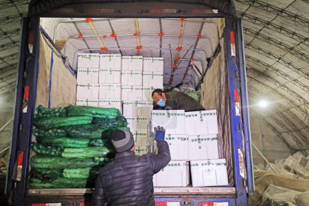 Foto de CONDADO DE LUANNAN, China - 16 de enero de 2021: los agricultores cargan verduras en un mercado de verduras al por mayor en el condado de LUANNAN, provincia de Hebei, China - Imagen libre de derechos