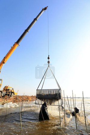 Téléchargez les photos : COMTÉ DE LUANNAN, Province du Hebei, Chine - 29 janvier 2021 : Les agriculteurs utilisent des grues pour soulever des poissons vivants près d'un étang à poissons. - en image libre de droit