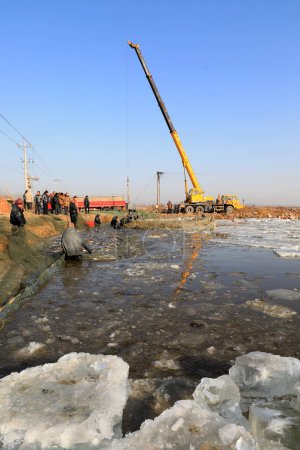 Téléchargez les photos : COMTÉ DE LUANNAN, province du Hebei, Chine - 29 janvier 2021 : Les travailleurs récoltent toutes sortes de poissons d'élevage dans l'étang à poissons pour répondre à la demande du marché de la fête du printemps. - en image libre de droit