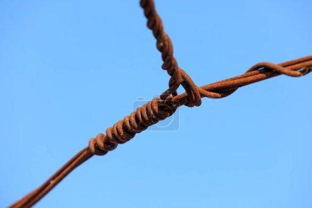 Photo for Oxidized and rusty wire against a blue background - Royalty Free Image