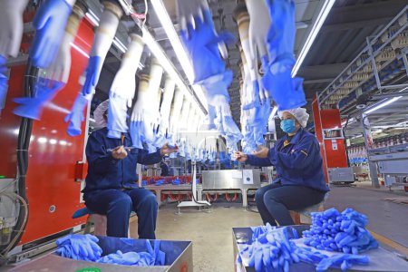 Téléchargez les photos : COMTÉ DE LUANNAN - 2 février 2020 : travailleuses occupées dans la chaîne de production de gants de protection en nitrile, COMTÉ DE LUANNAN, province du Hebei, Chine - en image libre de droit