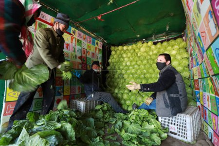Téléchargez les photos : COMTÉ DE LUANNAN - 18 février 2020 : maraîchers se préparant au chargement et au transport du chou chinois, COMTÉ DE LUANNAN, province du Hebei, Chine - en image libre de droit