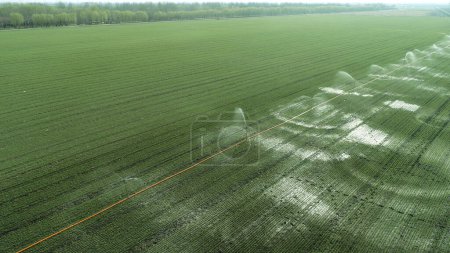 Téléchargez les photos : Équipement d'irrigation par arrosage fonctionnant dans le champ de blé, Chine du Nord Plaine - en image libre de droit