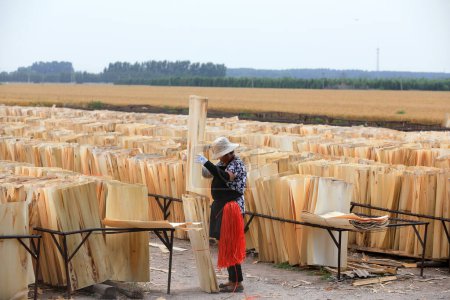 Téléchargez les photos : COMTÉ DE LUANNAN, province du Hebei, Chine - 16 juin 2020 : Des travailleurs séchent des feuilles de bois dans une usine de transformation du bois en Chine du Nord - en image libre de droit
