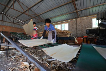 Téléchargez les photos : COMTÉ DE LUANNAN, province du Hebei, Chine - 16 juin 2020 : Les travailleurs sont occupés sur la ligne de traitement des panneaux - en image libre de droit