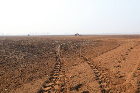 Agricultores impulsan plantadores para cultivar guisantes en el lejano