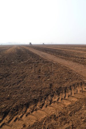 Agricultores impulsan plantadores para cultivar guisantes en el lejano