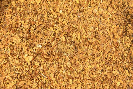 Photo for Finely ground tobacco, closeup of photo - Royalty Free Image