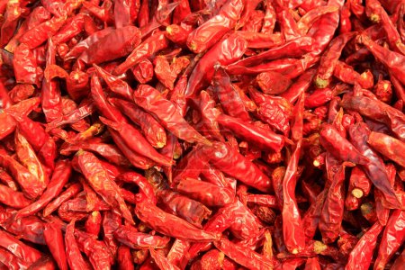 traditional Chinese flavor condiments chili, closeup of photo