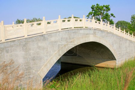 puente de arco de piedra en un jardín botánico, primer plano de la foto