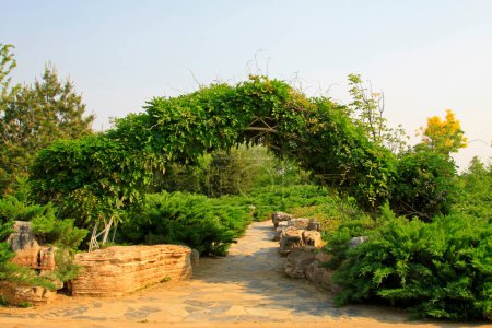 Puerta de paisaje vegetal, primer plano de la foto