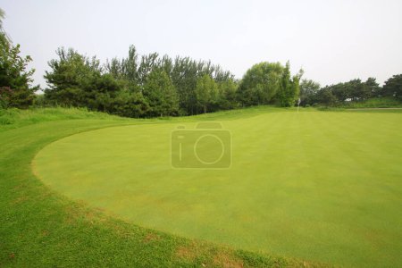 golf course closeup of photo