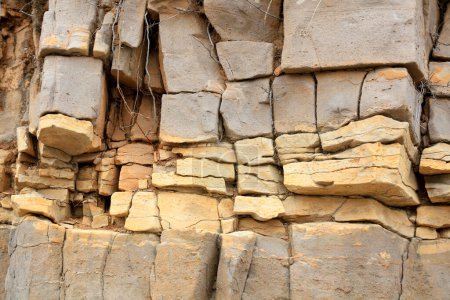 Estructura horizontal del lecho de roca