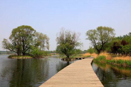Photo for City park scenery, Tangshan, Chin - Royalty Free Image