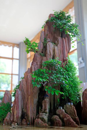 Foto de Montaña y trabajo de bonsái planta verde - Imagen libre de derechos