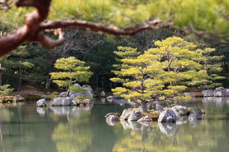 Photo for Kyoto, Japan - Japanese garden at famous Kinkakuji (Kinkaku-ji) - Royalty Free Image