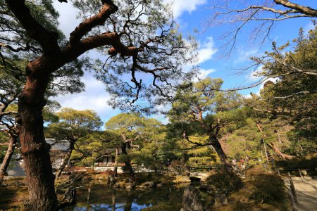 Photo for Autumn nature, Ginkakuji (Silver Pavilion) gardens in Kyoto, Japan - Royalty Free Image