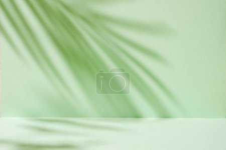 Téléchargez les photos : Abstract tropic mint-colored background with soft palm tree shadows like a mockup or product presentation template. High quality photo - en image libre de droit