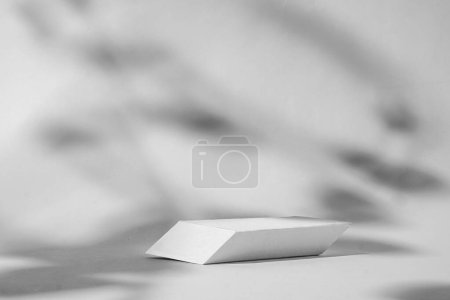 Téléchargez les photos : The background of the podium is geometric for advertising a product or cosmetics with shadows from the plant on a white background. High quality photo - en image libre de droit