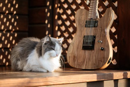Photo for Electric guitar and a cat  outside on the wooden terrace - Royalty Free Image
