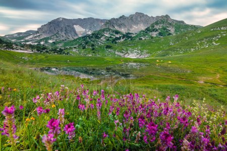 Téléchargez les photos : Paysage montagneux avec montagne Pshekha-su et lac Psenodah dans la vallée de Lagonaki, Caucase, Russie - en image libre de droit