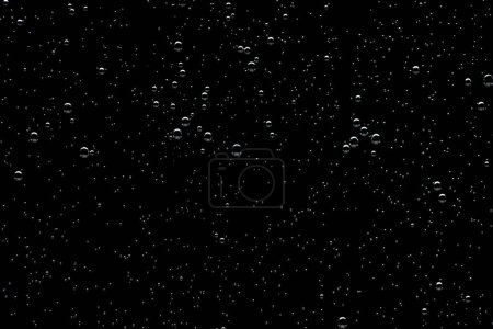 Foto de Bubble texture isolated on black background for compositing. Close-up photo - Imagen libre de derechos