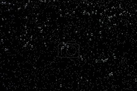 Foto de Bubble texture isolated on black background for compositing. Close-up photo - Imagen libre de derechos