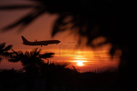 Photo for Airplane silhouette over tropical beach at sunset. - Royalty Free Image