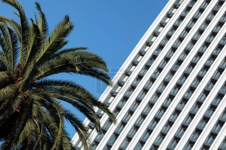 Foto de Una foto minimalista de un edificio moderno con un patrón de rayas en su exterior se destaca contra un cielo azul claro. Una palmera es visible a la izquierda del edificio, añadiendo un toque de vegetación a la escena. - Imagen libre de derechos
