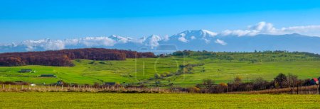 Foto de La escena del país con ovejas pastando y las montañas rumanas Fagaras en el fondo, condado de Sibiu - Imagen libre de derechos