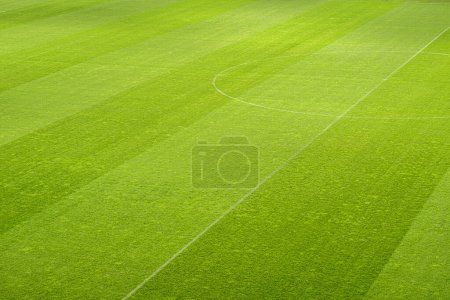 Foto de Empty football stadium stripe grass - Imagen libre de derechos