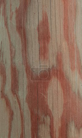 Photo for Highly Detailed Wood Grain with wooden knob and striations - Royalty Free Image