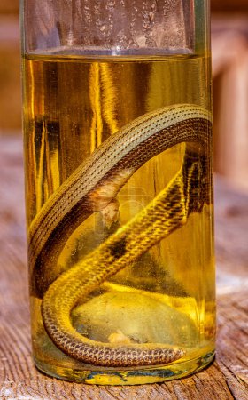 Foto de Bebida alcohólica, tintura con una serpiente. - Imagen libre de derechos