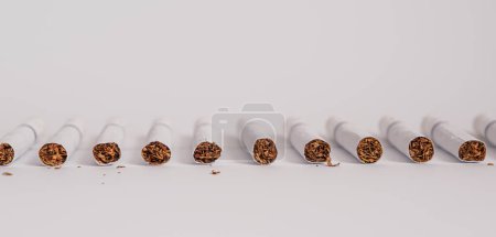 Photo for A lot of lined up cigarettes with white filters - Royalty Free Image