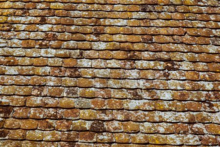 Téléchargez les photos : Vieilles tuiles de toit en argile avec moisissure et algues à la surface
. - en image libre de droit