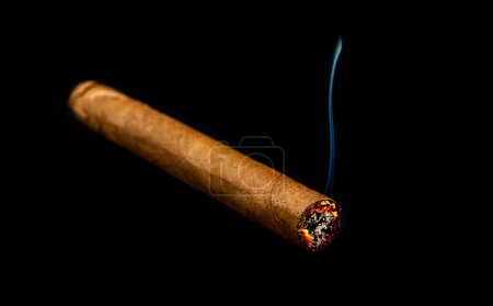 Téléchargez les photos : Cigare brun brûlé sur fond sombre - en image libre de droit