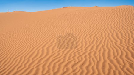 Hermosas dunas en el desierto
