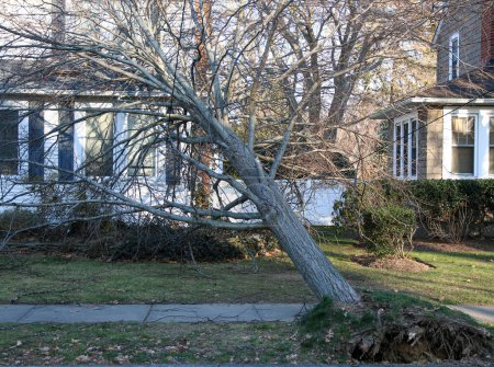 Un árbol cae sobre una casa durante una tormenta de viento de Nochebuena en Long Island.