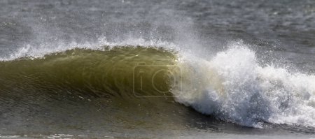 Photo for Water blowing backwords as a wave is breaking in the Atlantic Ocean off the coast of Long Island New York. - Royalty Free Image