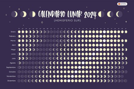 2024 Calendar. Moon phases foreseen from Southern Hemisphere. Spanish Text. Year view calendar. EPS Vector. No editable text.