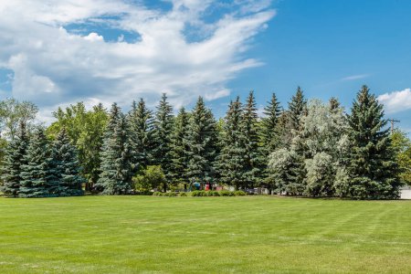 Foto de Raoul Wallenberg Park se encuentra en el barrio Varsity View de Saskatoon. - Imagen libre de derechos