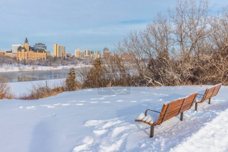 Téléchargez les photos : Cosmopolitan Park est situé dans le quartier Nutana de Saskatoon.. - en image libre de droit