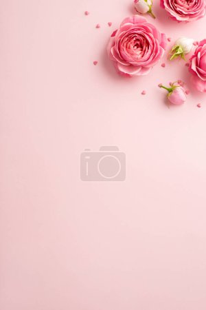 Foto de Concepto del Día de la Mujer. Vista superior de la foto vertical de rosa peonía rosa brotes y aspersiones sobre el fondo de color rosa pastel aislado con copyspace - Imagen libre de derechos