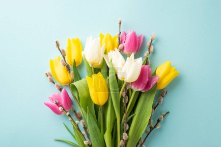 Spring concept. Top view photo of bouquet of colorful flowers pussy willow branches and tulips on isolated pastel blue background