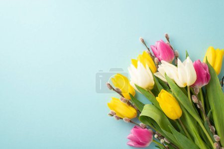 Mother's Day concept. Top view photo of bunch of pussy willow branches and colorful tulips on isolated pastel blue background with blank space