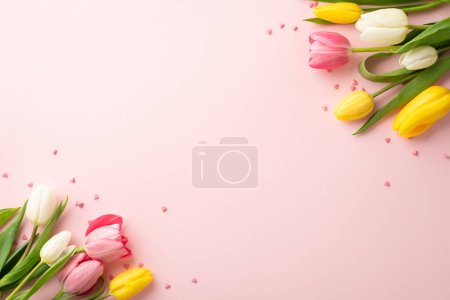 Concept vacances de printemps. Photo de vue du dessus de tulipes jaunes blanches roses et saupoudrer sur fond rose clair isolé avec copyspace