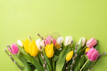 Mother's Day atmosphere concept. Top view photo of bunch of flowers pussy willow yellow pink and white tulips on isolated light green background with empty space