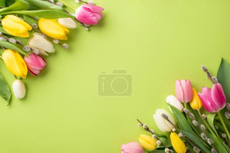 Mother's Day atmosphere concept. Top view photo of bunches of pussy willow yellow pink and white tulips on isolated light green background with copyspace