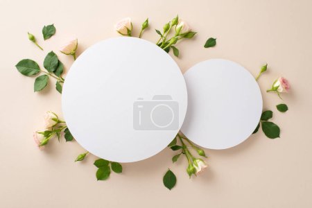 A calming pastel beige backdrop provides the perfect canvas for this top view shot of lovely miniature roses with a blank two circles ideal for advertisements or branding